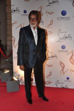 Amitabh Bachchan at the launch of Christian Louboutin store launch in Fort, Mumbai on 20th March 2013 (48).JPG